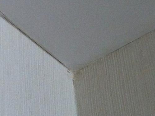 Галтели потолочные. Галтель может стать не просто точкой в вашем домашнем ремонте, а настоящим восклицательным знаком!