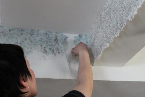 Между потолком и стеной. Крепим современную «лепнину»