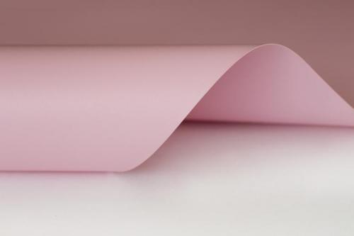 Натяжной потолок. Натяжные потолки: 85 красивых идей дизайна (фото)