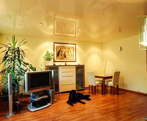 Все о разных типах потолков. Виды потолков. Побелка, покраска, оклейка обоями. Клеевые, подвесные, гипсокартонные, кассетные, реечные, натяжные и подшивные конструкции 05