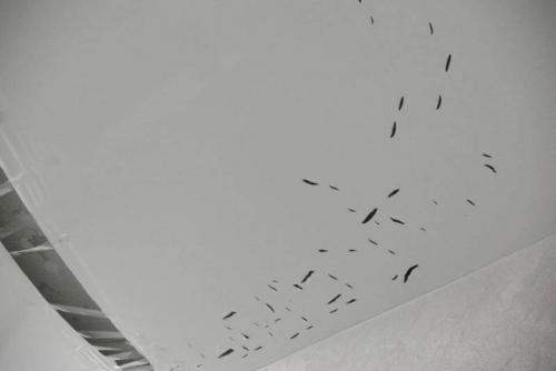 Как натянуть натяжной потолок. Виды натяжных потолков, их особенности и сфера применения