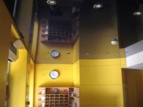 Натяжные потолки ПВХ по фактуре. Разновидности фактур 09 Натяжные потолки ПВХ по фактуре. Разновидности фактур 09