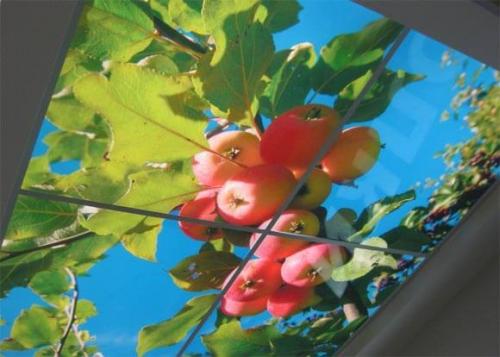 Размер потолочного багета для натяжного потолка. Профиль для монтажа натяжного потолка