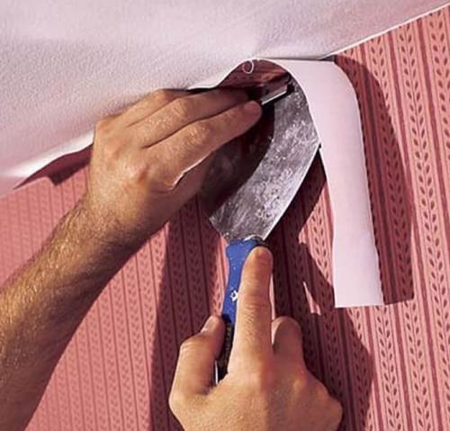 Между обоями и натяжным потолком. Особенности  поклейки обоев